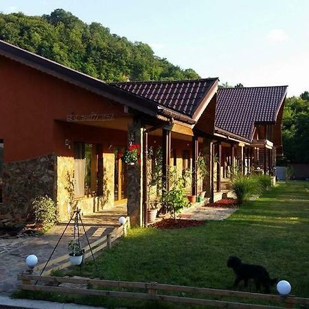 Pensiunea Raiul Muntilor Sebiş المظهر الخارجي الصورة